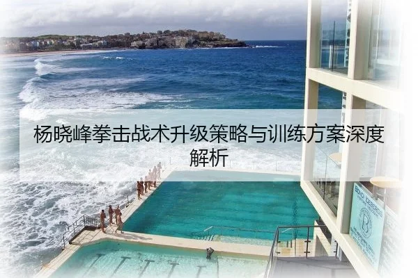 杨晓峰拳击战术升级策略与训练方案深度解析