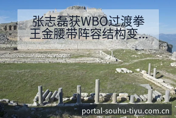 张志磊获WBO过渡拳王金腰带阵容结构变化与风险分析 - 搜狐体育
